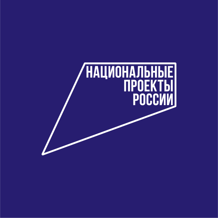 Баннер Национальные проекты России