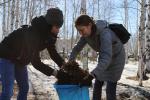Общегородской субботник пройдет 4 мая