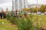 В Нижневартовске завершается осенняя кампания по высадке деревьев В Нижневартовске завершается осенняя кампания по высадке деревьев