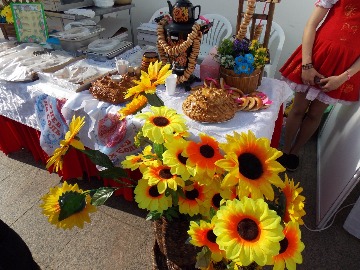 DSCN2257.JPG