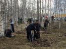 Принять участие в субботниках могут все желающие Принять участие в субботниках могут все желающие
