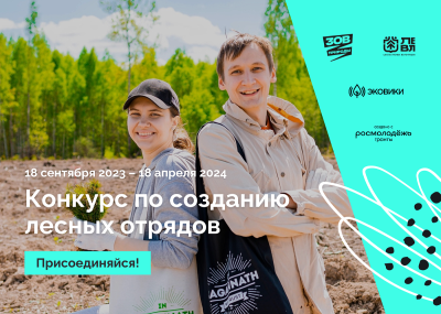 Конкурс добрых дел для леса Конкурс добрых дел для леса