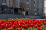 Оцени уровень озеленения города Оцени уровень озеленения города