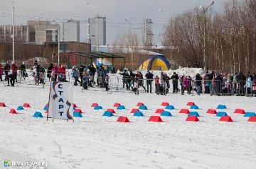 IMG_7673.jpg