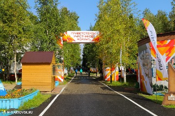 IMG_1525.jpg