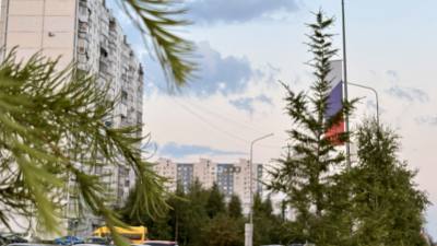 Трудоустройство отдельных категорий граждан