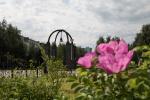 В Нижневартовске появляются живые изгороди В Нижневартовске появляются живые изгороди