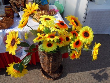 DSCN2265.JPG