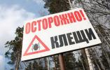 В Нижневартовске активизировались клещи: в городе проведут спецобработку В Нижневартовске активизировались клещи: в городе проведут спецобработку