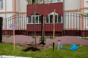 IMG_9708.jpg