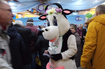 IMG_7878.JPG