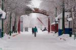 Нижневартовск преображается: зон для отдыха будет больше 