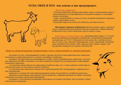 ПАМЯТКА «МЕРОПРИЯТИЯ ПО ПРОФИЛАКТИКЕ ОСПЫ ОВЕЦ И КОЗ»