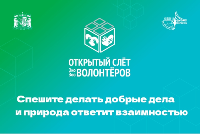 В Югре стартовала международная акция «Спасти и сохранить» В Югре стартовала международная акция «Спасти и сохранить»