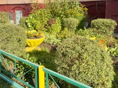 �Зеленый Нижневартовск»: итоги конкурса