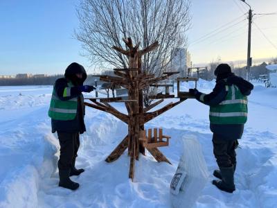 В Нижневартовске оборудуют места для кормления птиц