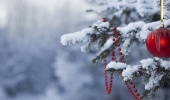 Уважаемые руководители предприятий и организаций, индивидуальные предприниматели! Уважаемые руководители предприятий и организаций, индивидуальные предприниматели!