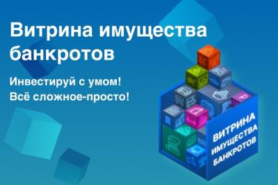 Проект «Витрина имущества банкротов» (ВИБ)