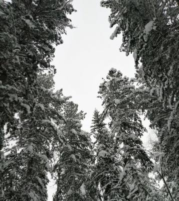 В Югре дан старт «Экологической фотоохоте» В Югре дан старт «Экологической фотоохоте»