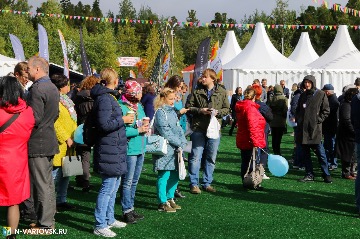 IMG_1527.jpg