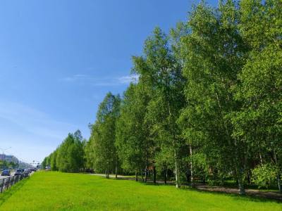 Сохраняется опасное явление: чрезвычайная пожарная опасность  (5 класс горимости)
