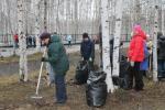 Озеленение и уборка: в городе пройдет месячник «Чистый город» Озеленение и уборка: в городе пройдет месячник «Чистый город»