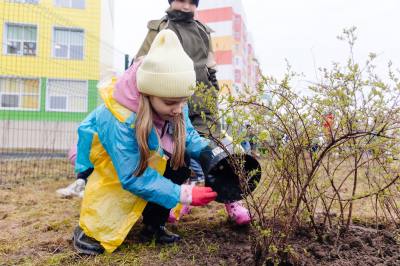 При поддержке СИБУРа в Нижневартовске появилась аллея Поколений с более 450 деревьями и кустарниками При поддержке СИБУРа в Нижневартовске появилась аллея Поколений с более 450 деревьями и кустарниками
