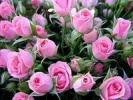 21 ноября - День работника налоговых органов 21 ноября - День работника налоговых органов